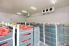 Chilled Storage: Essential Solutions for Temperature-Sensitive Goods in Saudi Arabia